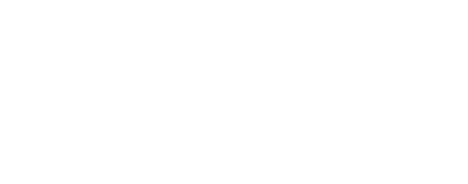 Freedom's Trajectory Logo